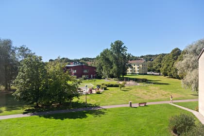 Bild av närområdet