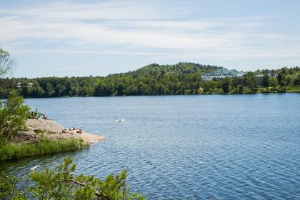 Bild av närområdet