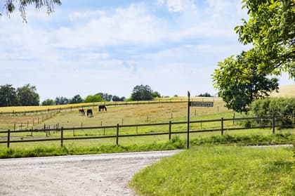 Bild av närområdet