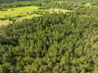 Illustrerad karta över fastigheten eller området