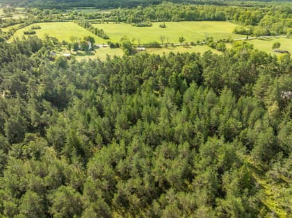 Illustrerad karta över fastigheten eller området