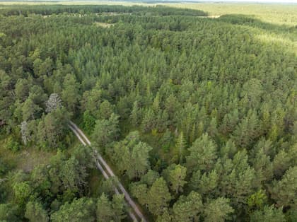 Illustrerad karta över fastigheten eller området