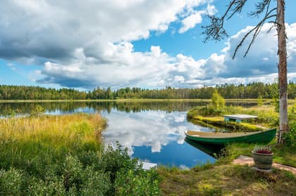 Bild av närområdet