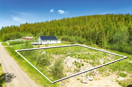 Bild av närområdet