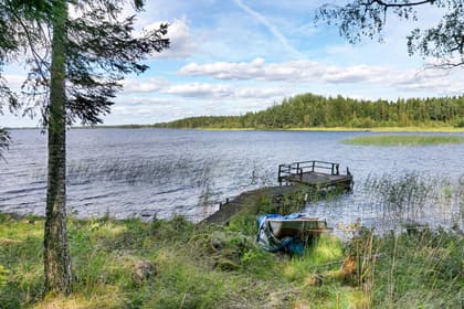 Bild av närområdet