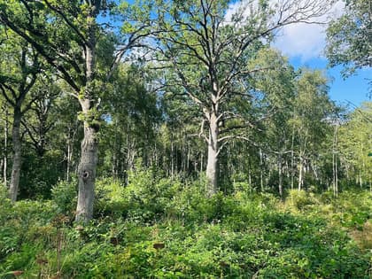 Adress saknas, Skättilljunga