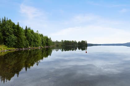 Bild av närområdet