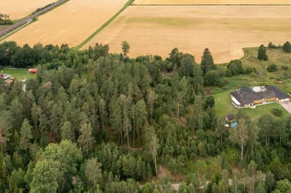 Illustrerad karta över fastigheten eller området