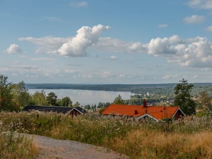 Bild av närområdet