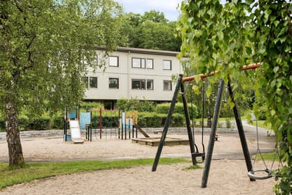 Bild av närområdet