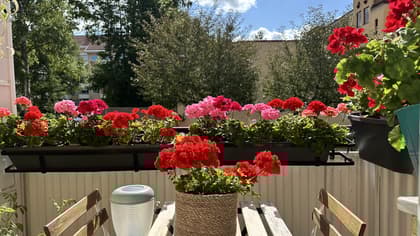 Balkong eller utsiktsbild