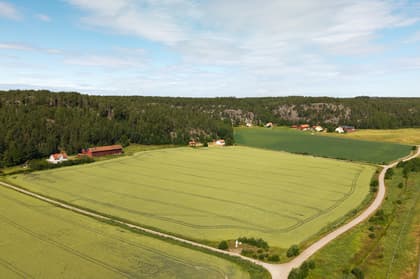 Bild av närområdet