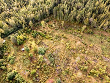 Illustrerad karta över fastigheten eller området