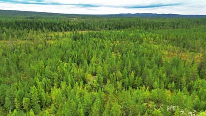 Illustrerad karta över fastigheten eller området