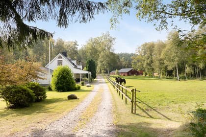 Bild av närområdet