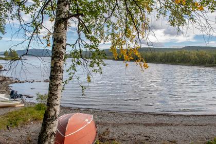 Bild av närområdet