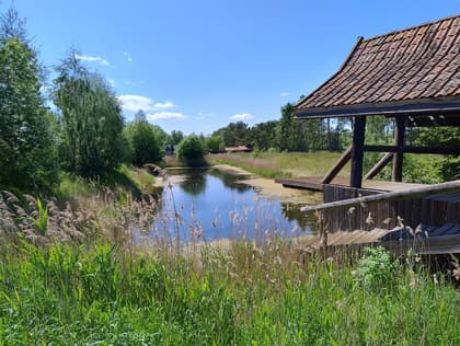 Bild av närområdet