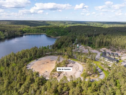 Bild av närområdet