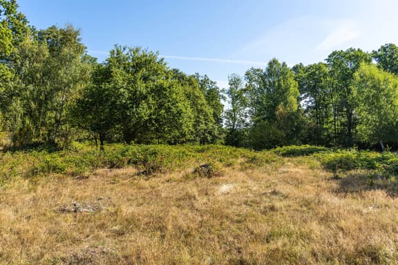 Bjärlöv 13:37, Kristianstad