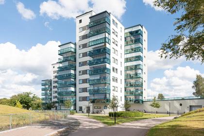 Bild av närområdet