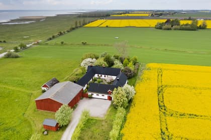 Bild av närområdet