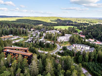 Bild av närområdet