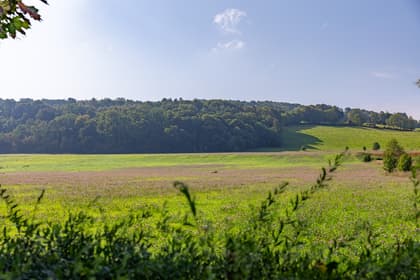 Bild av närområdet