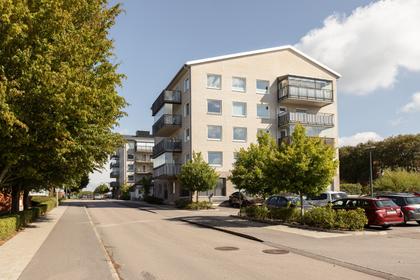 Bild av närområdet