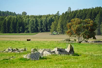 Bild av närområdet