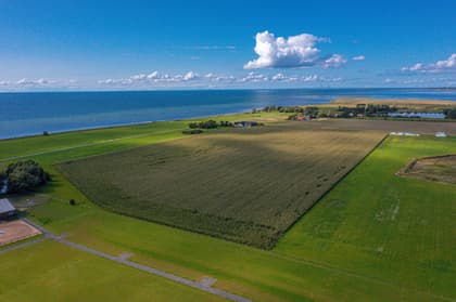 Bild av närområdet