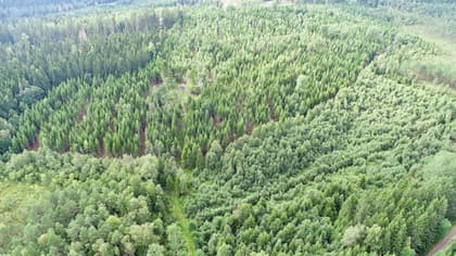 Illustrerad karta över fastigheten eller området