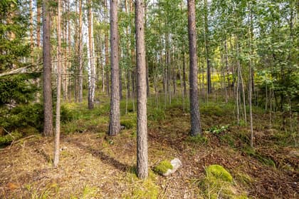 Mjölkarvägen 7, Bro