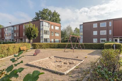 Bild av närområdet