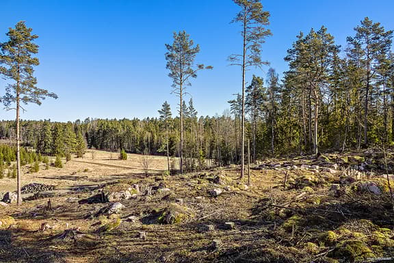 Ekbolanda 1:21, Uppsala