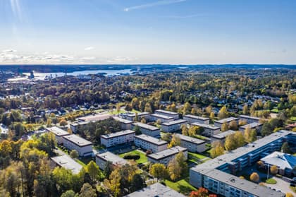 Bild av närområdet