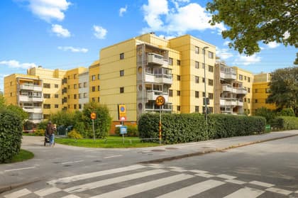 Bild av närområdet