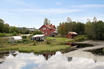 Bild av närområdet