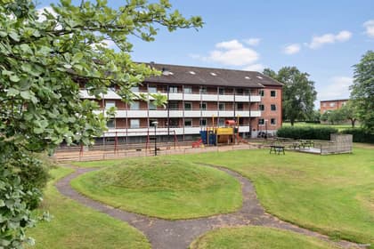 Bild av närområdet