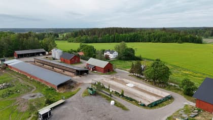 Bild av närområdet