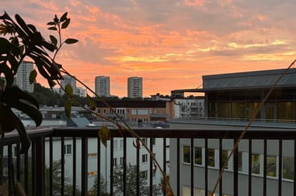 Bild av närområdet