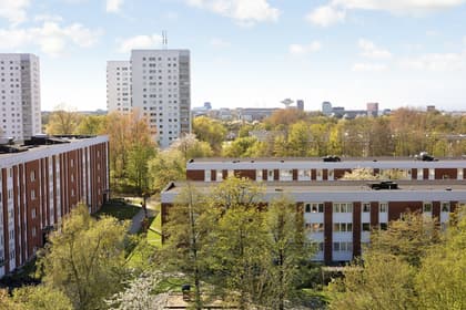 Bild av närområdet