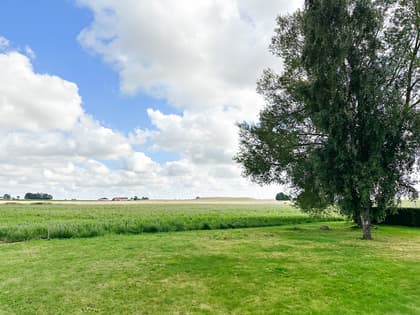 Bild av närområdet