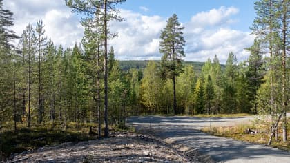 Bild av närområdet