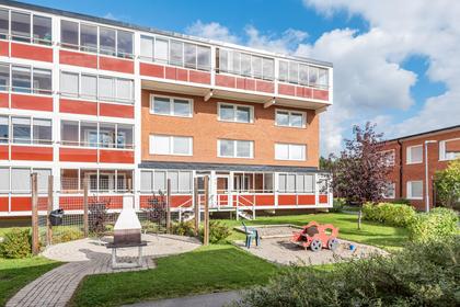 Bild av närområdet