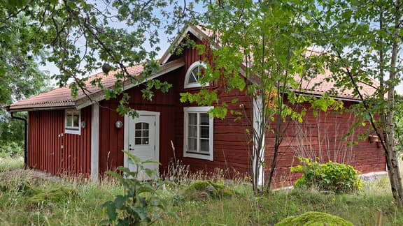 Snårets väg, Nykvarn