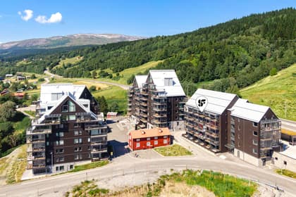 Bild av närområdet