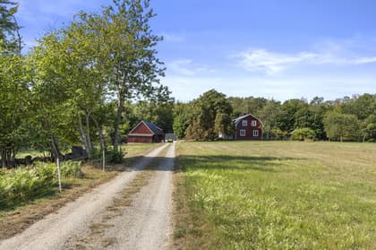 Bild av närområdet