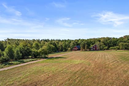 Bild av närområdet