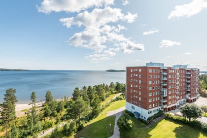 Bild av närområdet