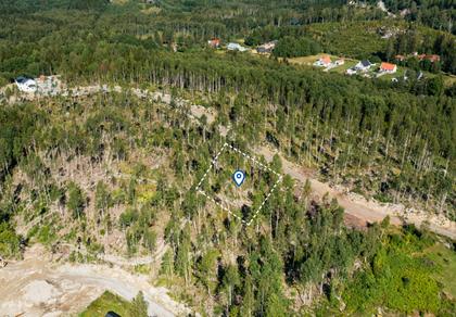 Illustrerad karta över fastigheten eller området